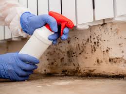 Best Mold Removal for HVAC Installations in Byers, CO